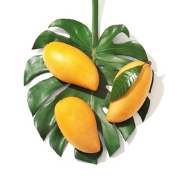 Photo of Composition with fresh mango fruits on white background, top view