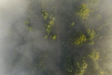 Aerial view of beautiful landscape with pathway in misty forest