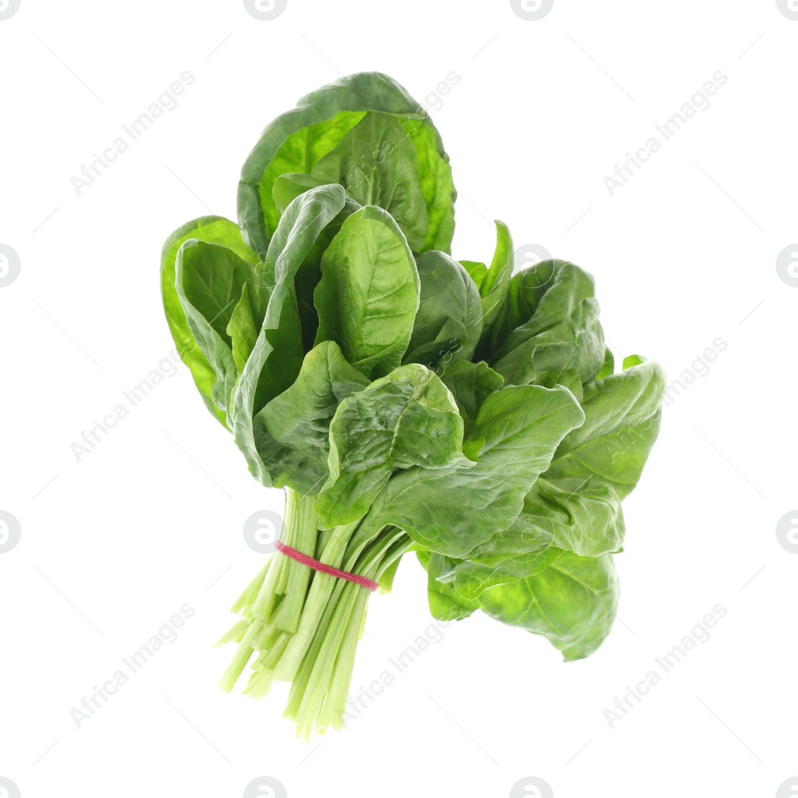 Photo of Bundle of fresh spinach isolated on white