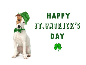 Image of Happy St. Patrick's Day. Cute Jack Russel Terrier with leprechaun hat and bow tie on white background