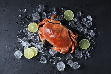Photo of Delicious boiled crab, lime and ice on black textured table, flat lay