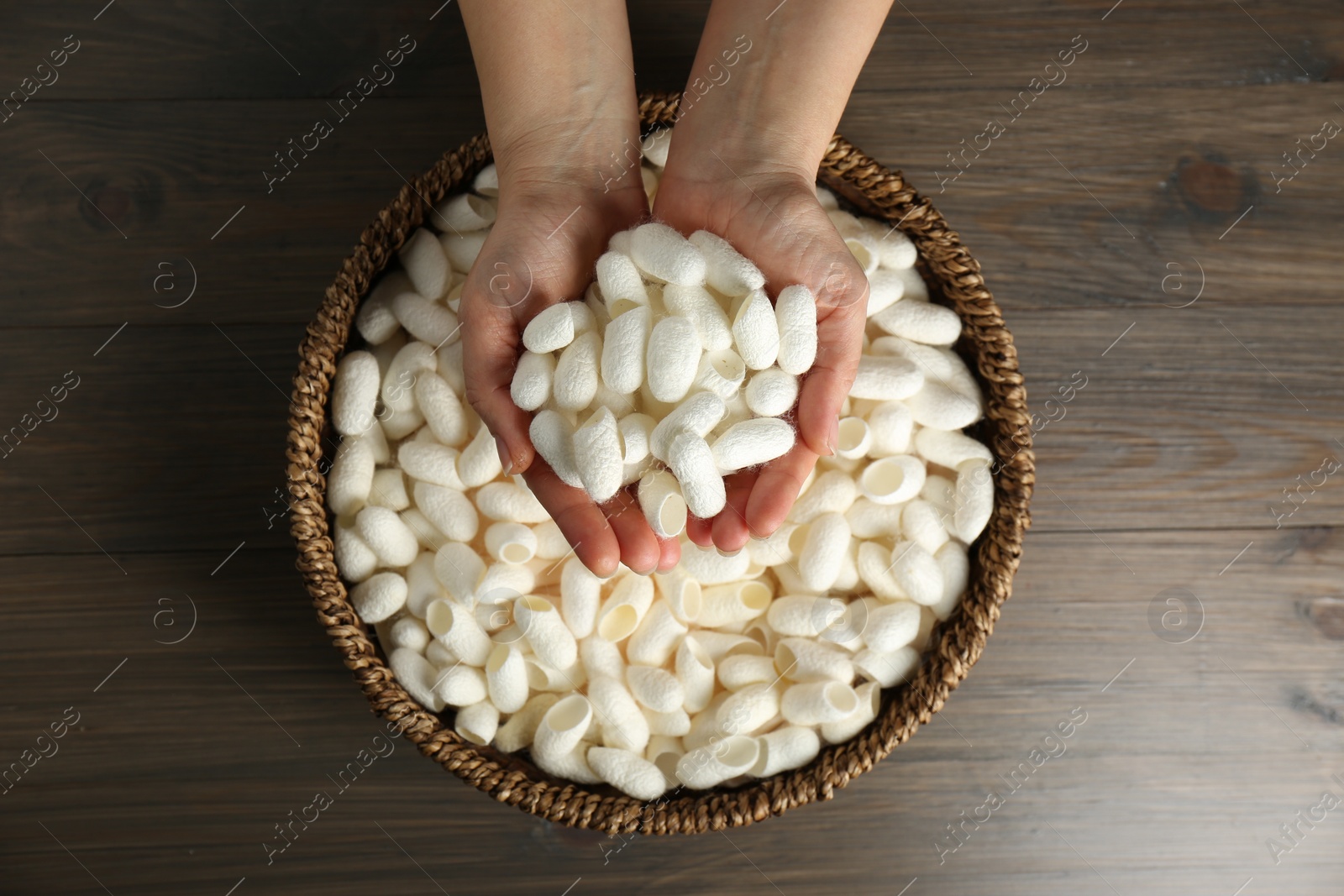 Photo of Woman holding white silk cocoons over bowl on wooden table, top view