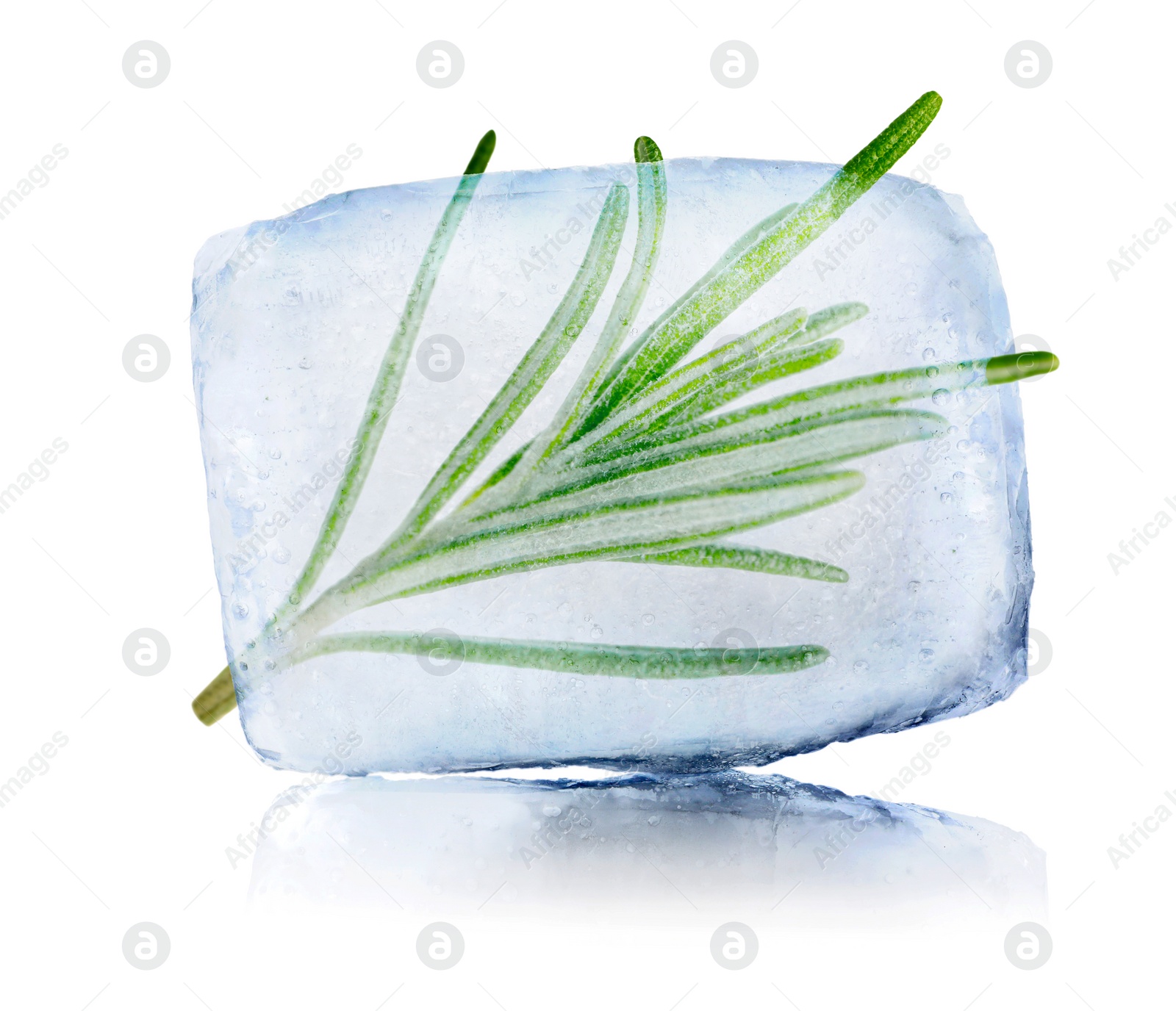 Image of Frozen food. Raw rosemary in ice cube isolated on white