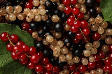 Photo of Different fresh ripe currants and green leaves as background, top view