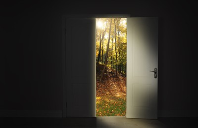 Image of Sun shining through trees in autumn forest and open door