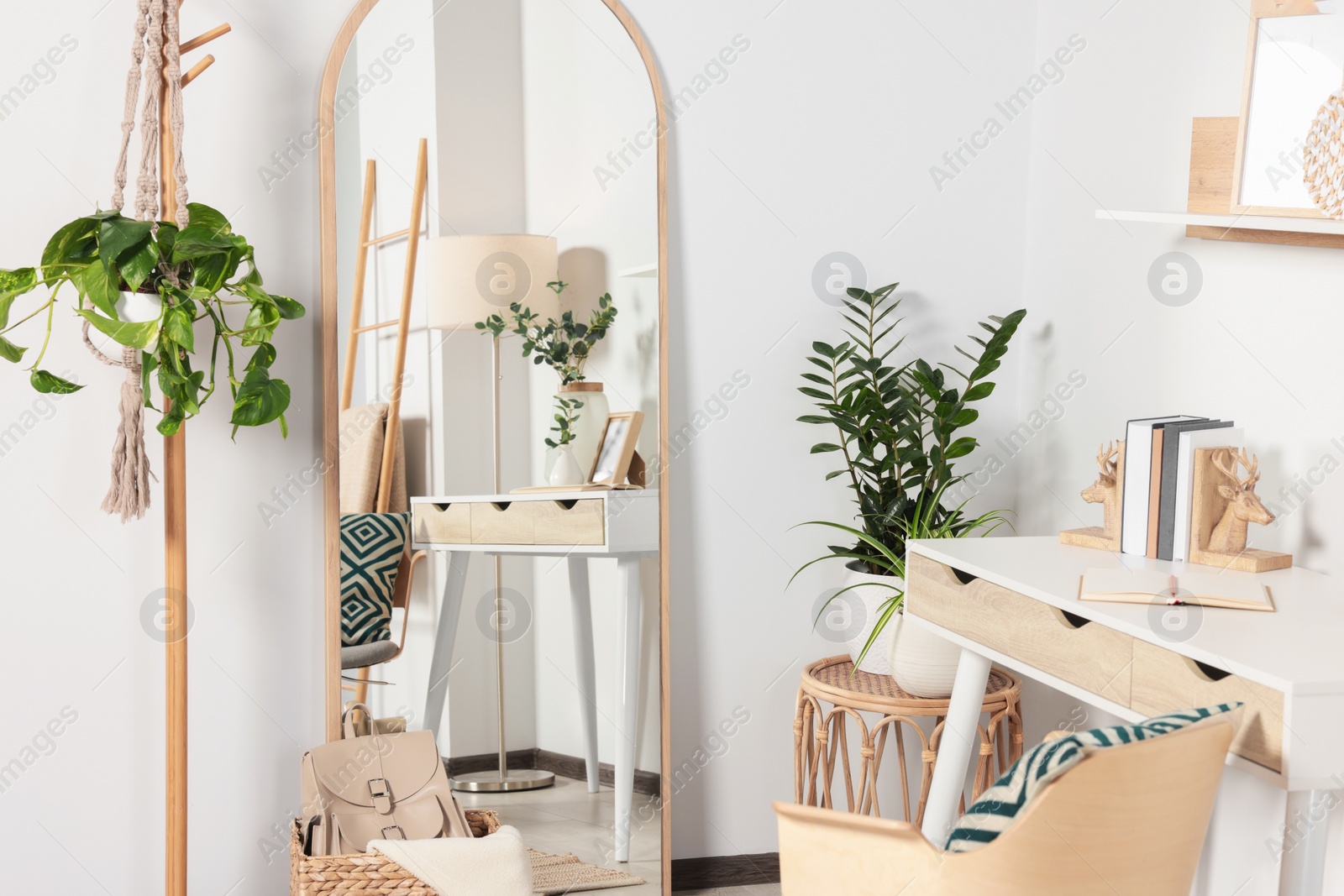 Photo of Modern room interior with large mirror and beautiful green plants