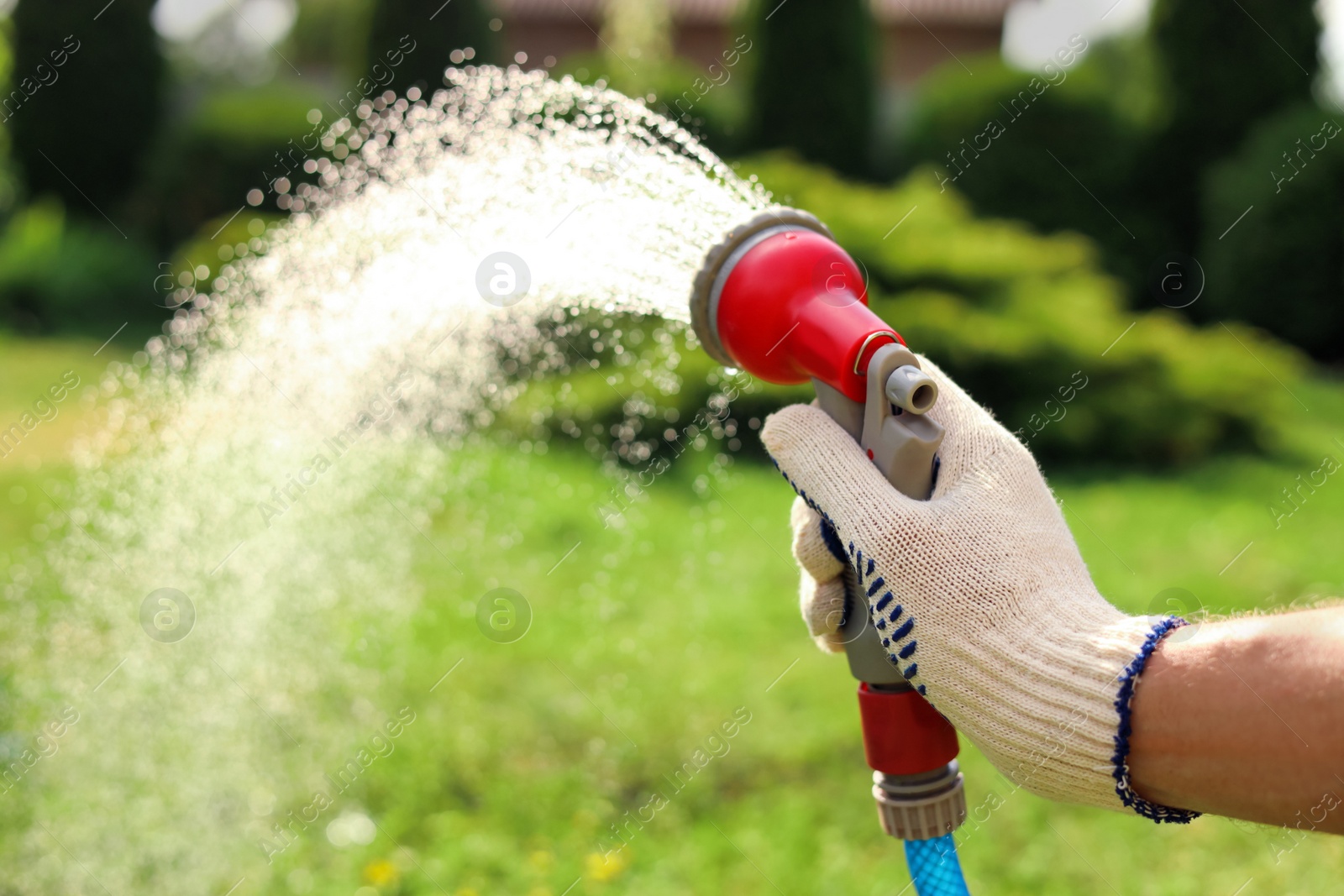 Photo of Man spraying water from hose in garden, closeup