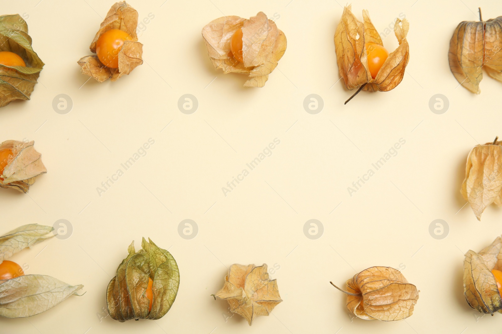 Photo of Ripe physalis fruits with dry husk on beige background, flat lay. Space for text