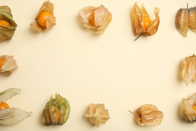 Ripe physalis fruits with dry husk on beige background, flat lay. Space for text