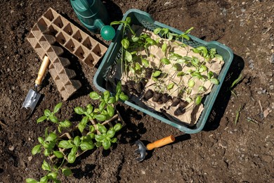 Photo of Beautiful seedlings in container and crate prepared for transplanting on ground outdoors, flat lay