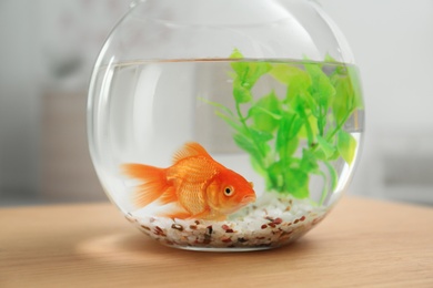 Photo of Beautiful bright small goldfish in round glass aquarium on wooden table indoors