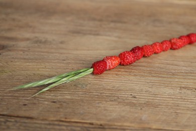 Photo of Grass stem with wild strawberries on wooden table, closeup