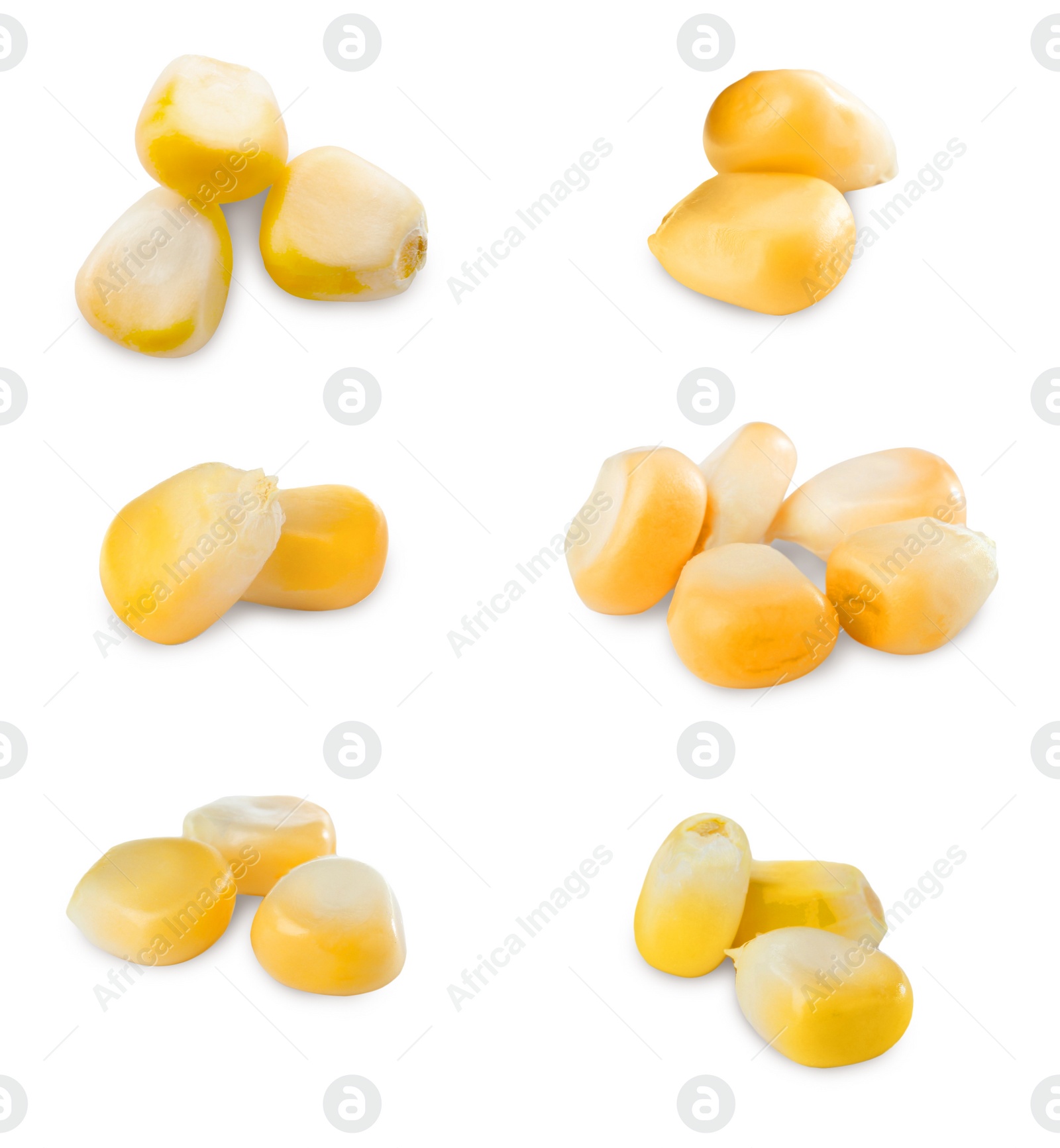 Image of Set with tasty corn kernels on white background