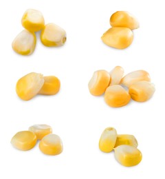 Image of Set with tasty corn kernels on white background