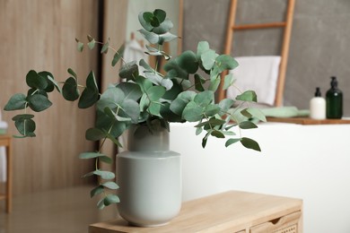 Photo of Beautiful eucalyptus branches in vase on wooden cabinet indoors. Interior design