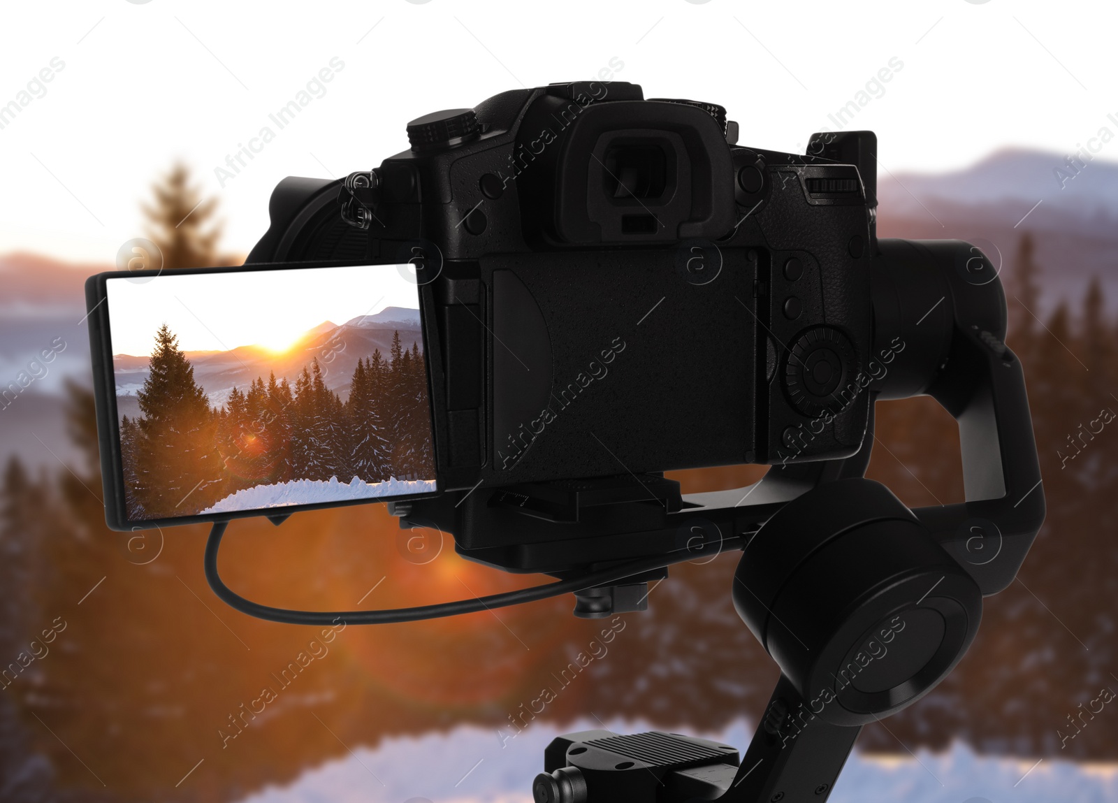 Image of Recording beautiful view of snowy forest on professional video camera