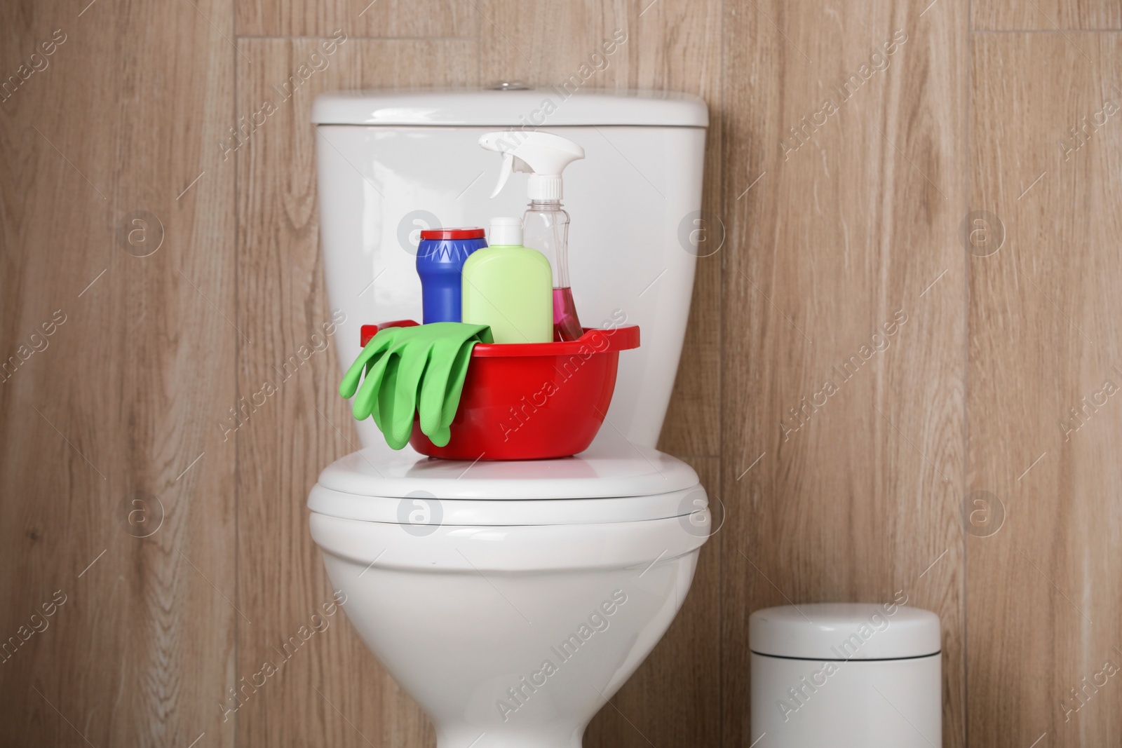 Photo of Different cleaning supplies on toilet bowl indoors