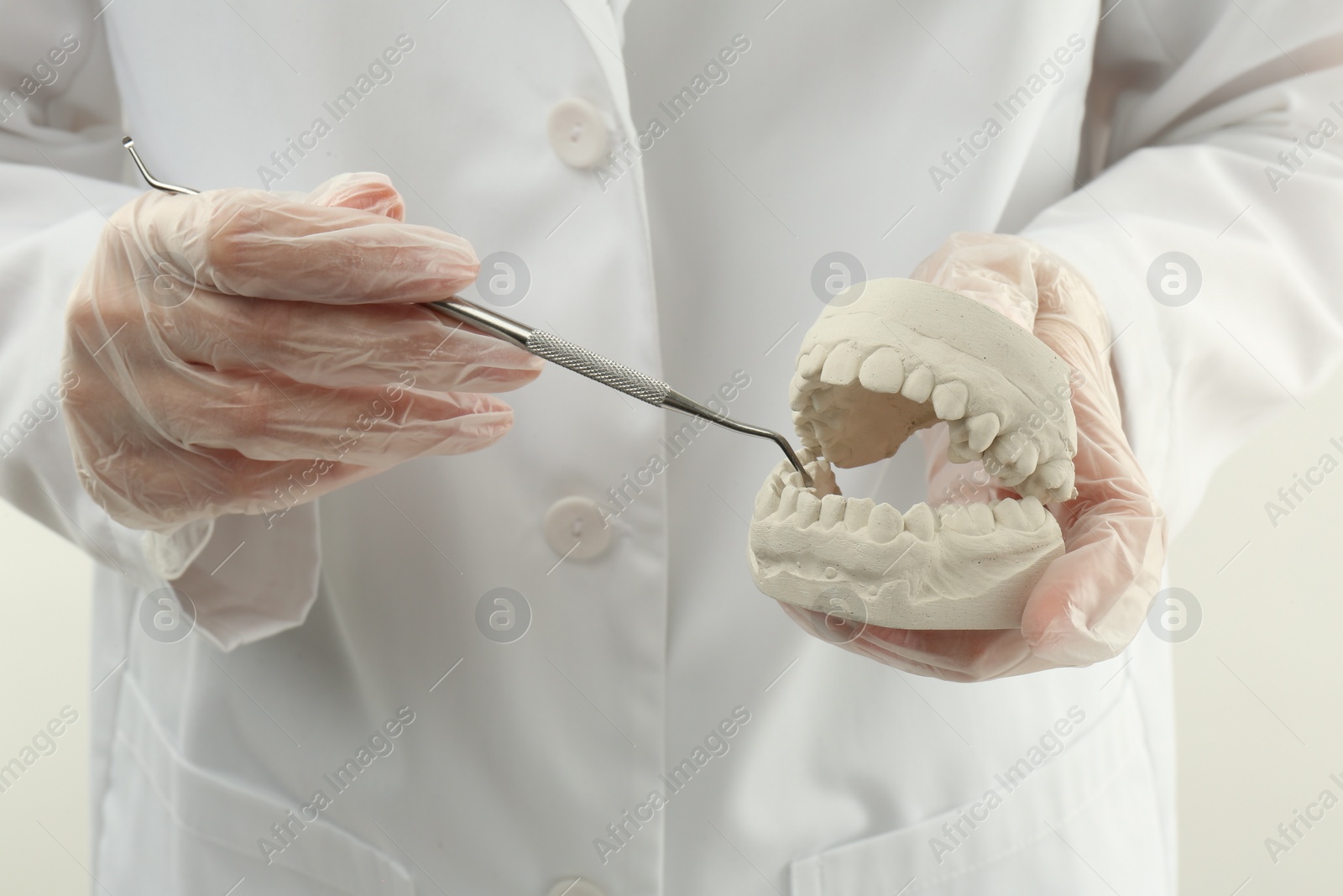 Photo of Doctor holding dental model with jaws and tool on white background, closeup. Cast of teeth