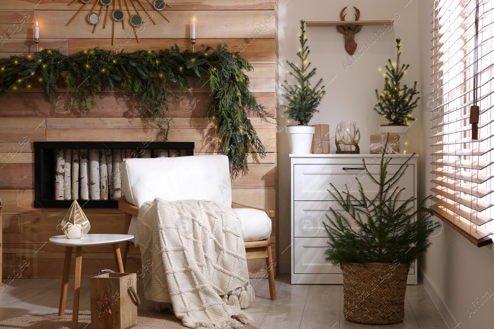 Photo of Beautiful room decorated for Christmas with potted firs. Interior design