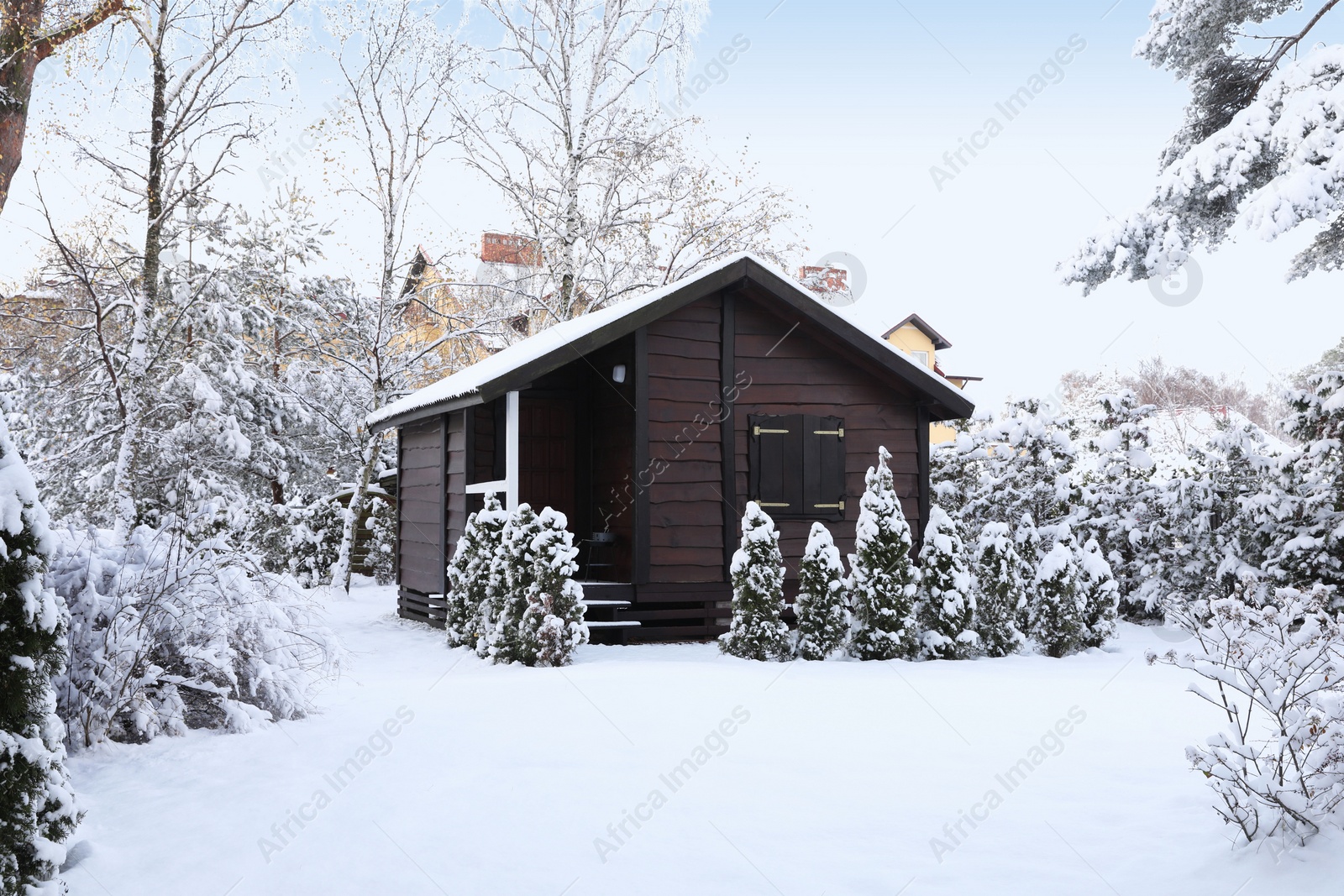 Photo of Winter landscape with wooden house, trees and bushes in morning