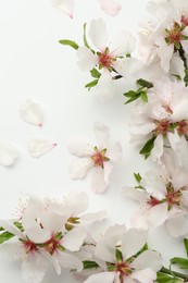 Photo of Spring tree branches with beautiful blossoms on white background, flat lay