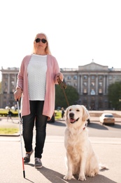 Photo of Guide dog helping blind person with long cane walking outdoors