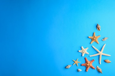 Photo of Many starfishes and shells on blue background, flat lay. Space for text