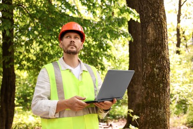 Forester in hard hat with laptop working in forest