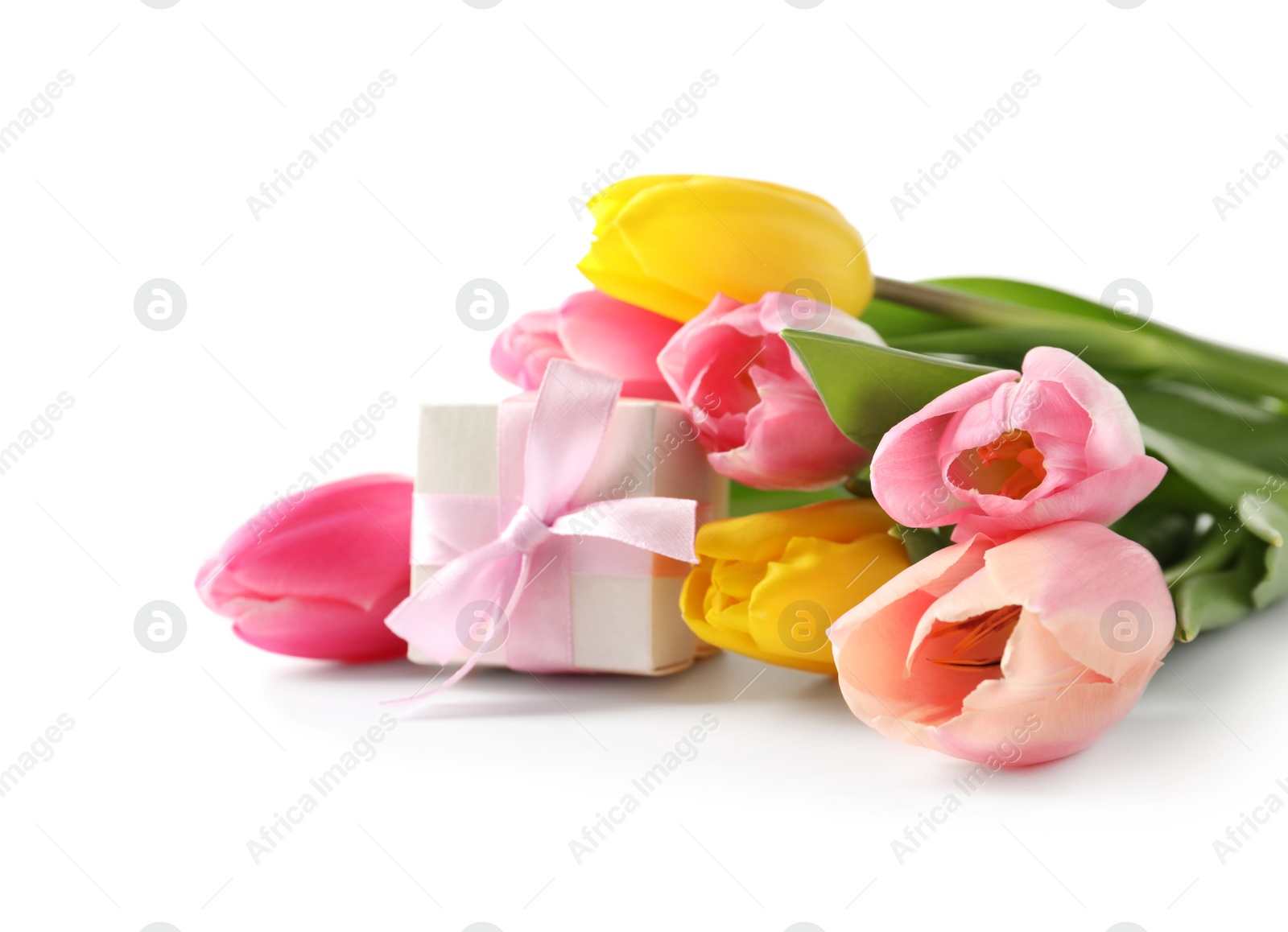 Photo of Beautiful spring tulips and gift box on white background. International Women's Day