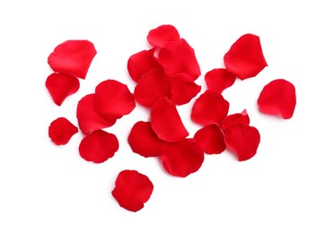 Photo of Many red rose petals on white background, top view