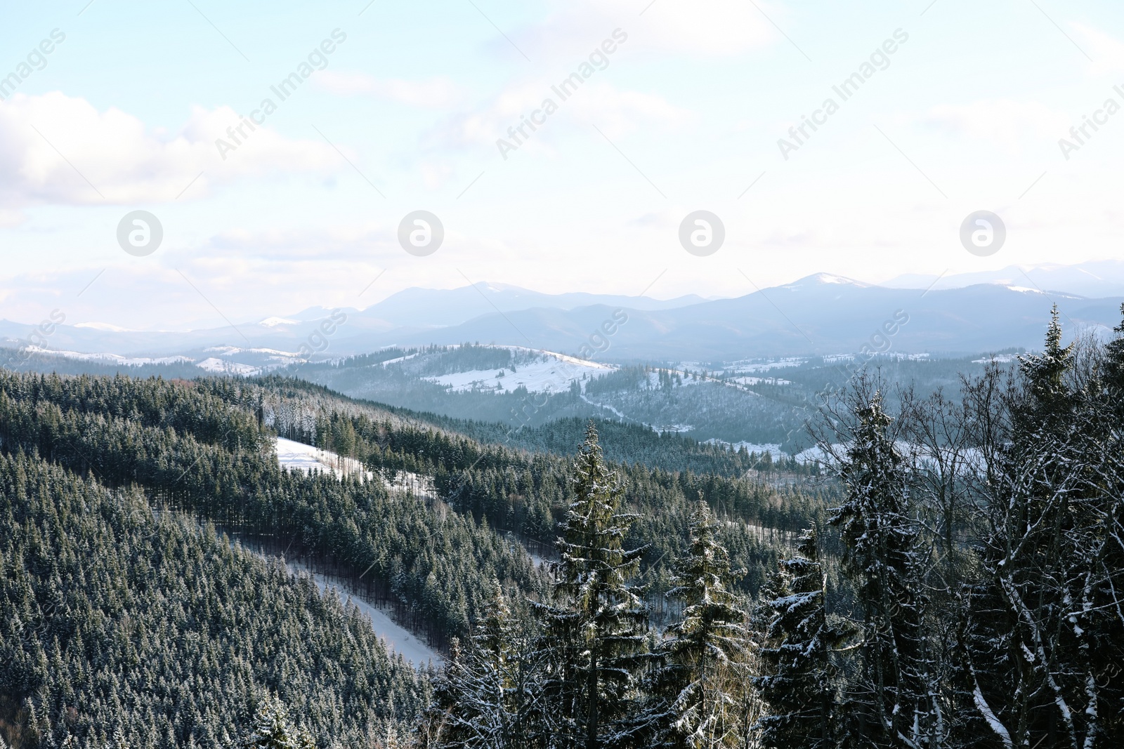 Photo of Beautiful mountain landscape with forest on sunny day in winter