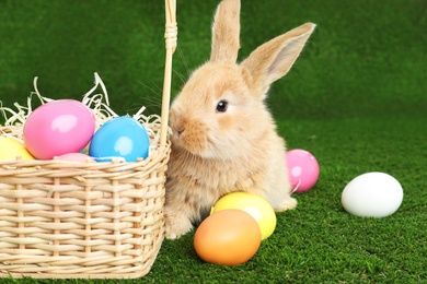 Adorable furry Easter bunny near wicker basket and dyed eggs on green grass, space for text