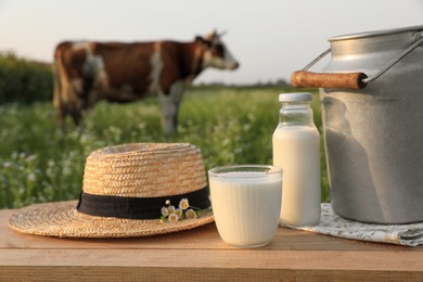 Photo of Milk, straw hat with camomiles on wooden table and cow grazing in meadow