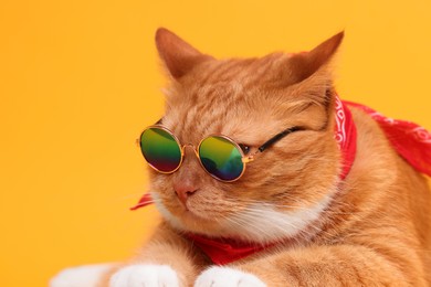 Photo of Portrait of cute ginger cat in stylish sunglasses and bandana on yellow background