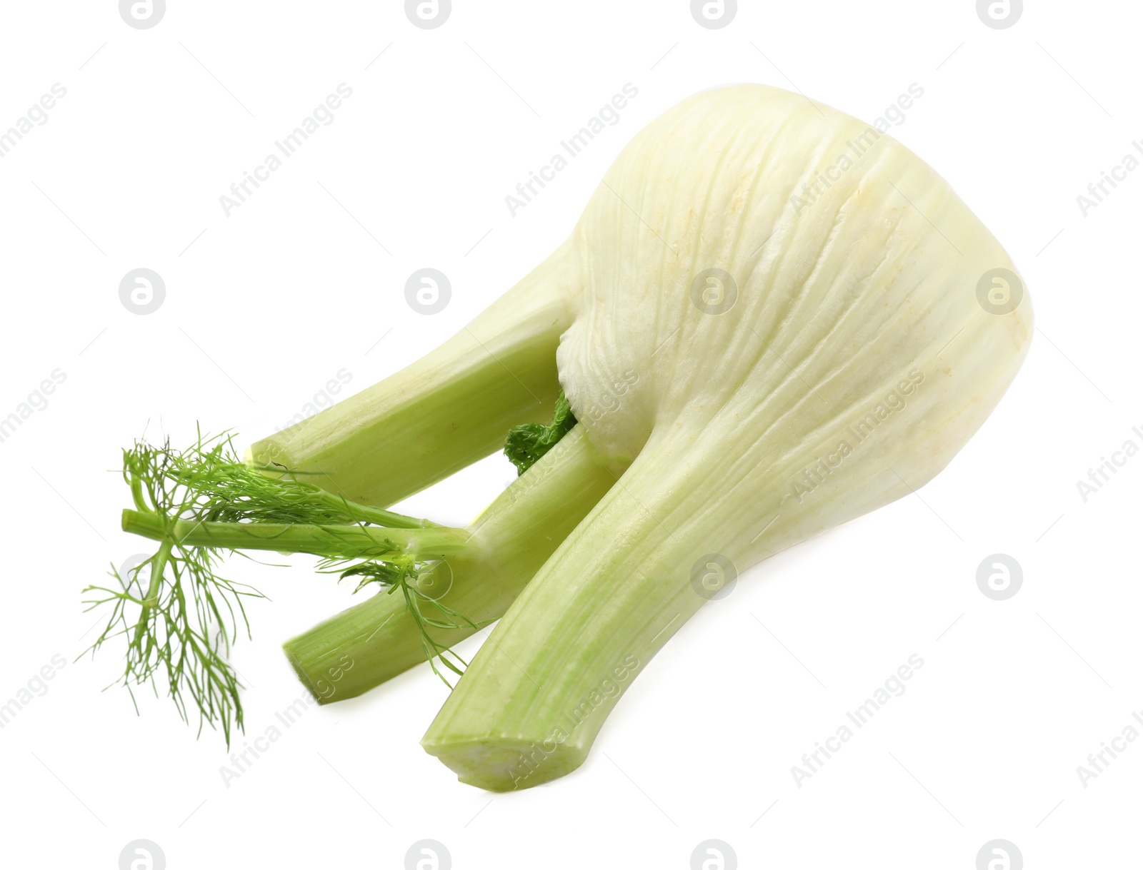 Photo of Fresh raw fennel bulb isolated on white