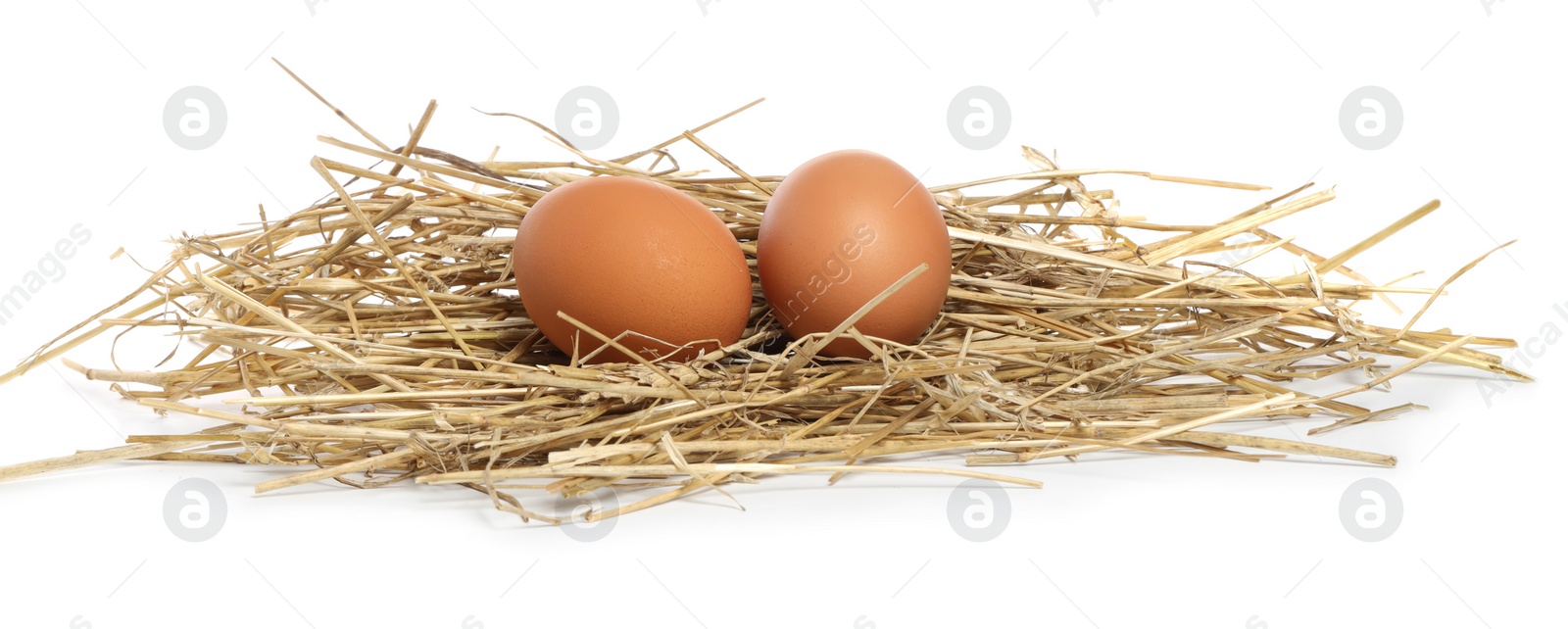 Photo of Chicken eggs and nest isolated on white