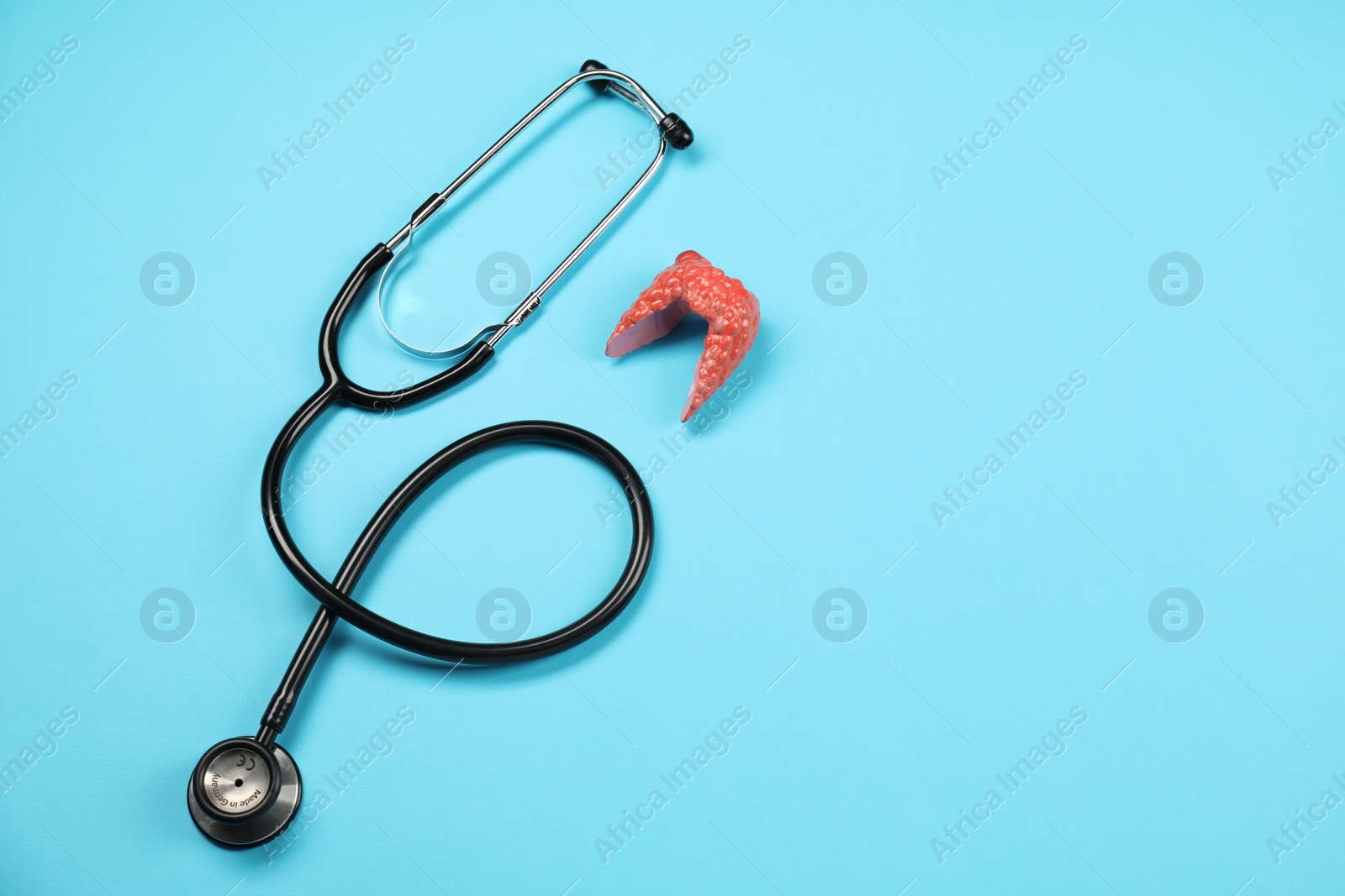 Photo of Endocrinology. Stethoscope and model of thyroid gland on light blue background, top view. Space for text