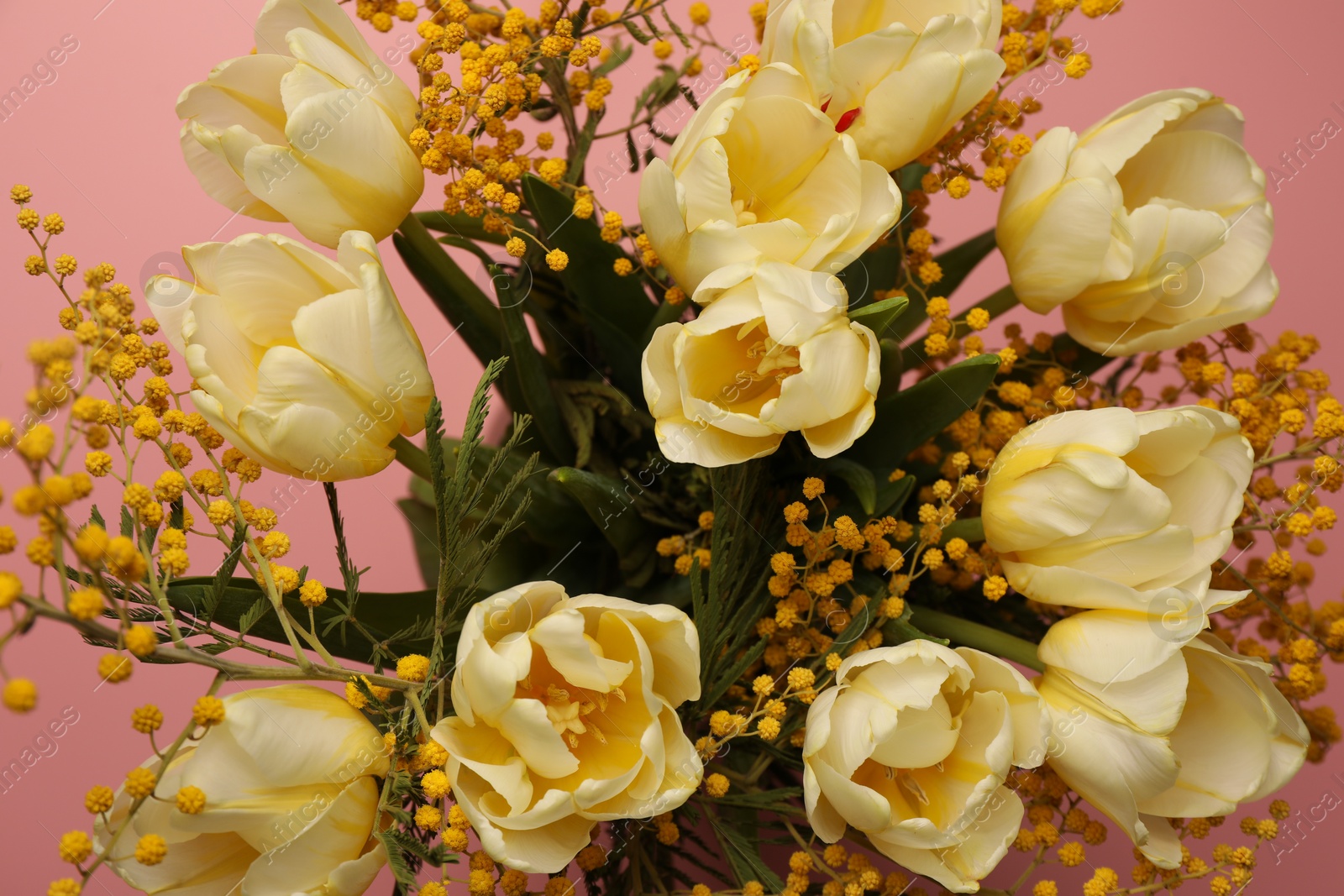 Photo of Bouquet with beautiful tulips and mimosa flowers on pink background, closeup