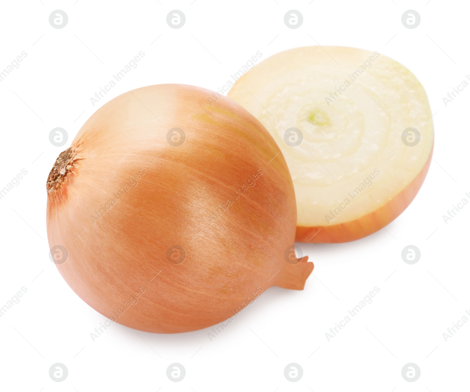 Photo of Whole and cut onions on white background