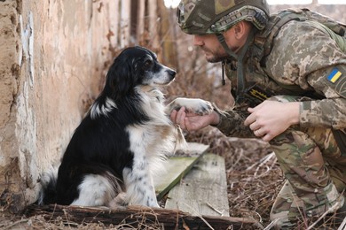Photo of Stray dog giving paw to Ukrainian soldier outdoors