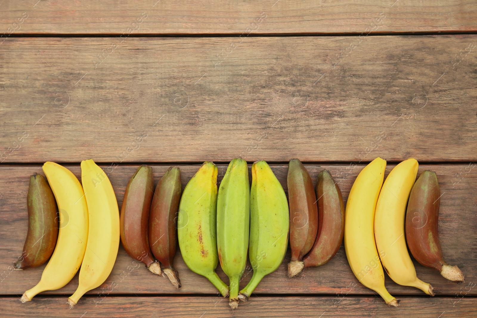 Photo of Many different bananas on wooden table, flat lay. Space for text