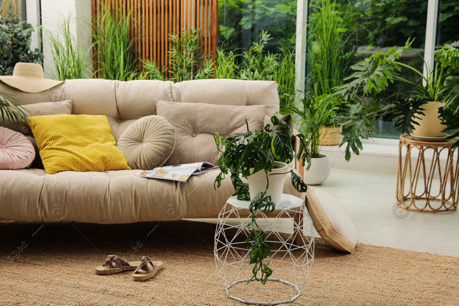 Photo of Indoor terrace interior with comfortable sofa and green plants