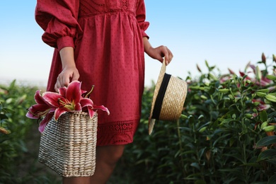 Woman holding wicker bag with lilies in flower field, closeup