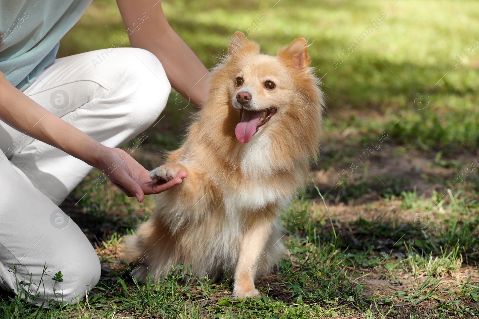 Photo of Young woman with her cute dog in park, closeup