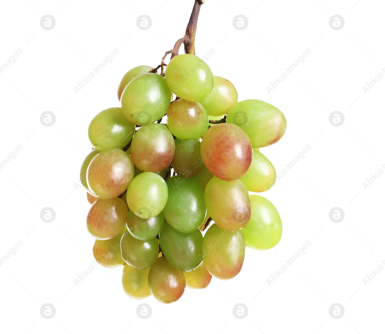 Photo of Bunch of fresh ripe juicy grapes on white background