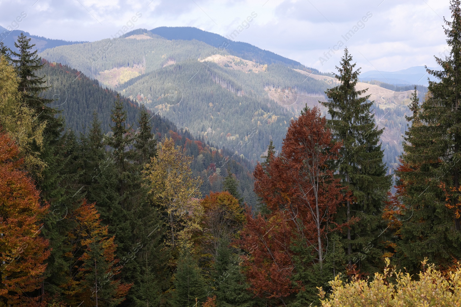 Photo of Picturesque view of sky over mountains in autumn