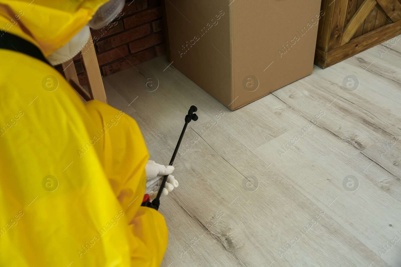 Photo of Pest control worker spraying pesticide indoors, closeup