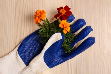 Photo of Gardening gloves with beautiful marigold flowers on wooden table, top view