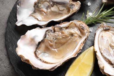 Photo of Delicious fresh oysters with lemon served on grey table, closeup