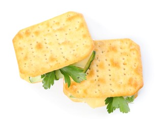 Delicious crackers with cream cheese, cucumber and parsley on white background, top view